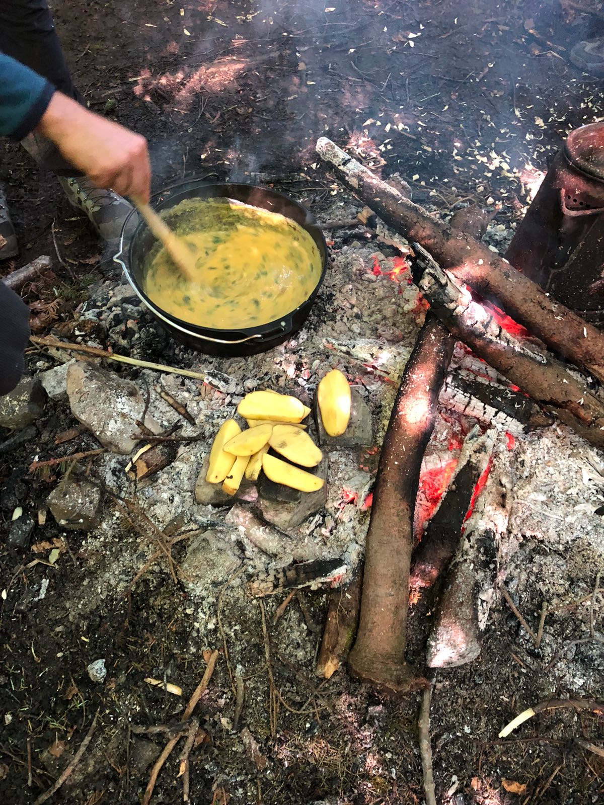 survival